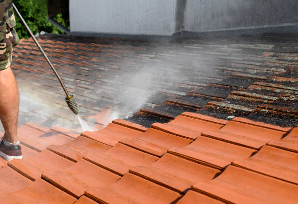 Best Best Pressure Washing Companies  in Morgandale, OH