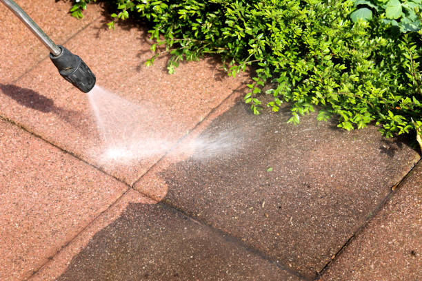 Best Roof Power Washing Services  in Morgandale, OH